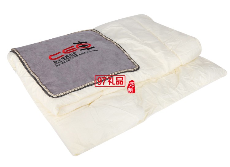 抱枕 抱枕被 靠墊 坐墊  汽車(chē)定制案例