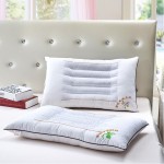 決明子明目枕頸椎養生蕎麥枕頭保健枕芯