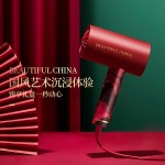 艾優Apiyoo×北京故宮文創  負離子吹風機