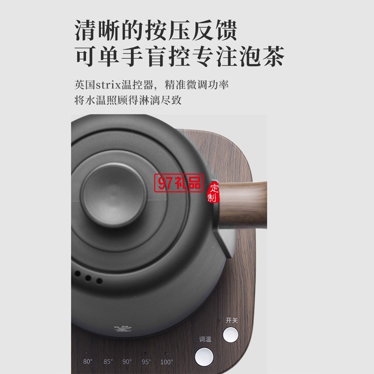 電熱水壺煎藥壺煮花茶燕窩保健壺煮粥養生壺送客戶禮品定制