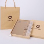 中國人壽定制筆記本筆套裝記事本禮盒企業公司定制logo