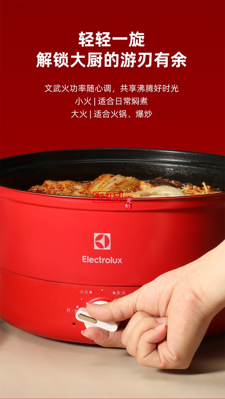 旋鈕式火力調節 自動控溫一鍋多用電火鍋