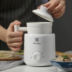 美觀實用安心隔熱 燉煮保溫兩檔選擇電燉養生杯