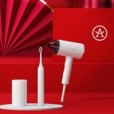 艾優（Apiyoo）電動牙刷 吹風機禮盒套裝 PW-2定制公司廣告禮品