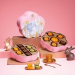 錦華月餅禮盒玉兔攬月860g雙層鐵盒廣式港式月餅中秋節